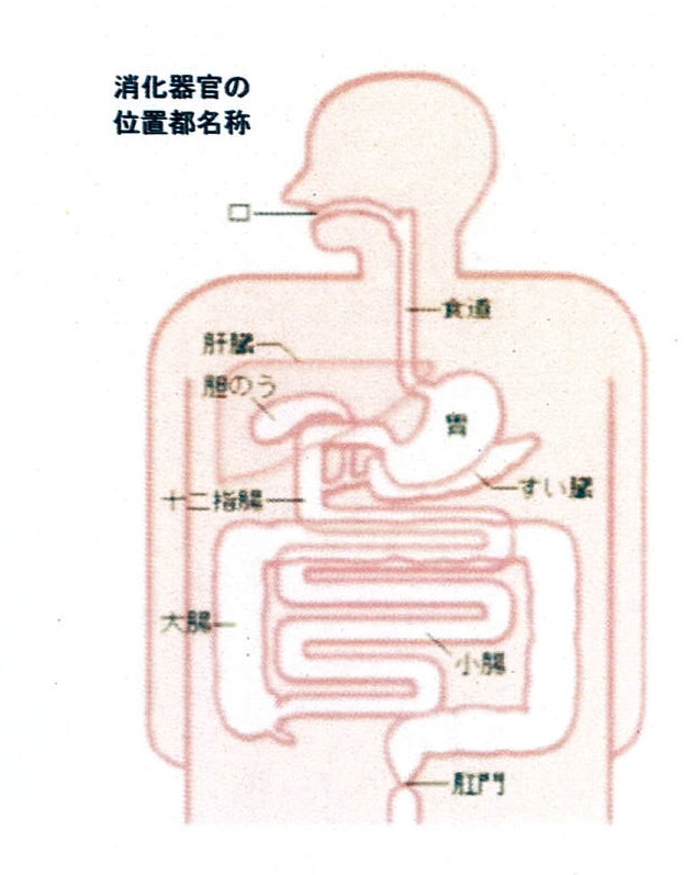 生命活動の基本
