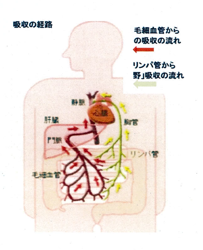 大切な水の役割