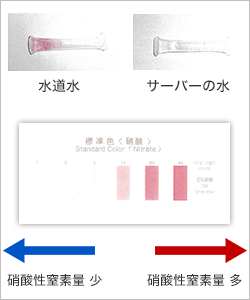硝酸性窒素の除去の様子