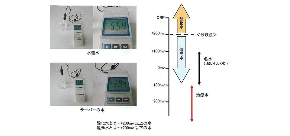 酸化還元電位による数値の変動